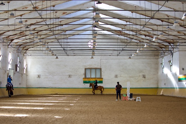 Picadero cubierto Club Hipico Somosaguas Pozuelo Madrid escuela caballos